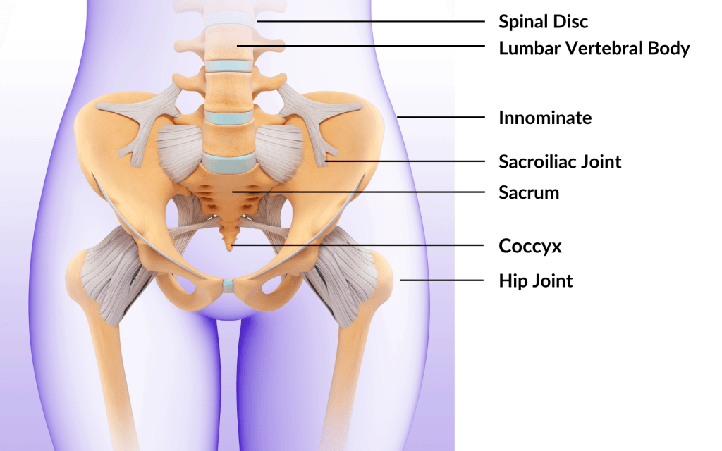 Pelvic pain & Acupuncture for pelvic pain in Tokyo 3 Pelvic pain & Acupuncture for pelvic pain in Tokyo