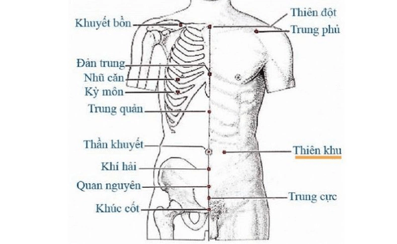 Trị dứt đầy bụng khó tiêu nhờ Đông Y