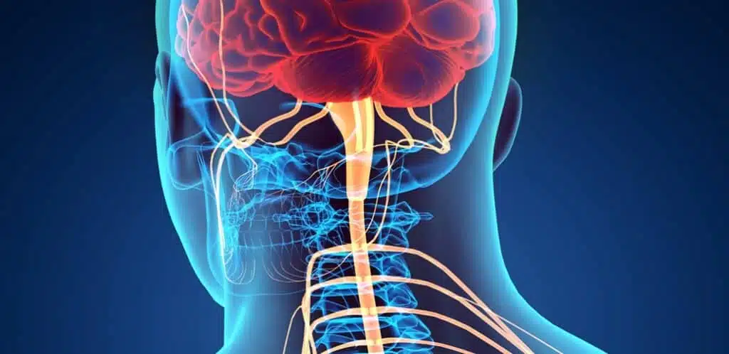 Central Pain Syndrome & Acupuncture Treatment in Tokyo