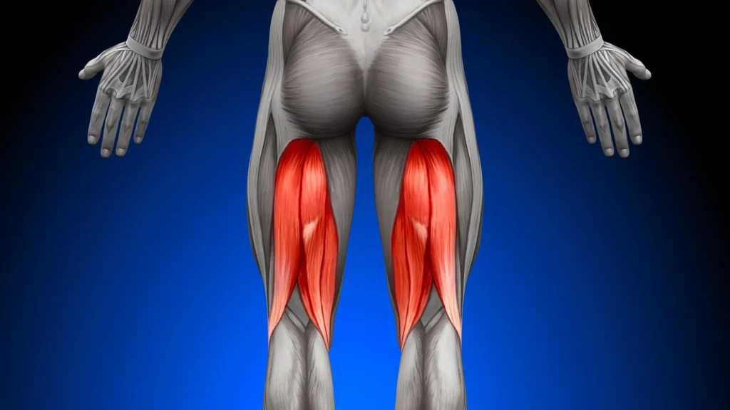 Hamstring Pain After Yoga & Acupuncture Treatment in Tokyo