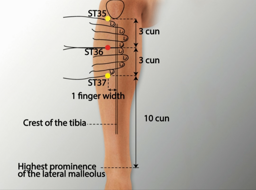Meniere’s Disease & Acupuncture Treatment in Tokyo