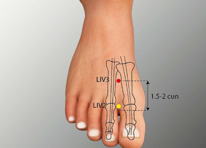 Meniere’s Disease & Acupuncture Treatment in Tokyo