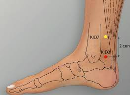 Meniere’s Disease & Acupuncture Treatment in Tokyo