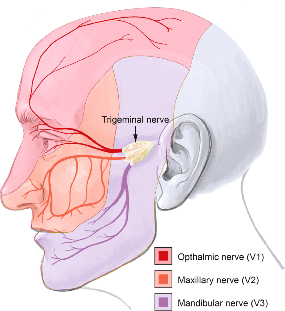 Acupuncture for Trigeminal Neuralgia: A Comprehensive Guide to Pain Relief in Tokyo