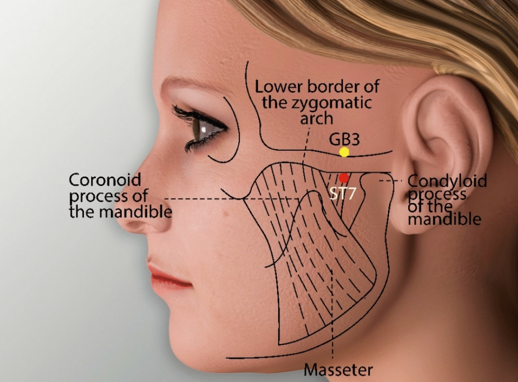 Acupuncture for Trigeminal Neuralgia: A Comprehensive Guide to Pain Relief in Tokyo