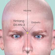 Nasal Congestion and Acupuncture Treatment in Tokyo