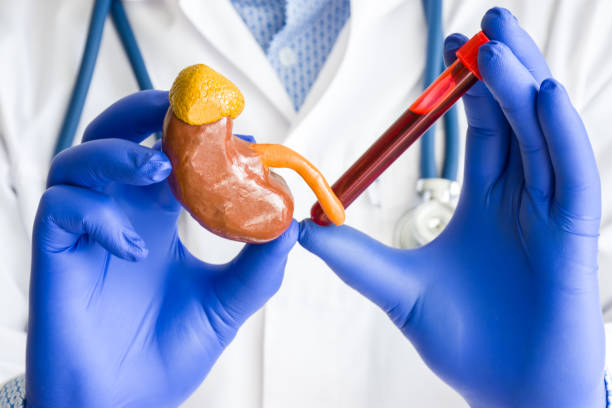 Adrenal Fatigue and Acupuncture Treatment in Tokyo