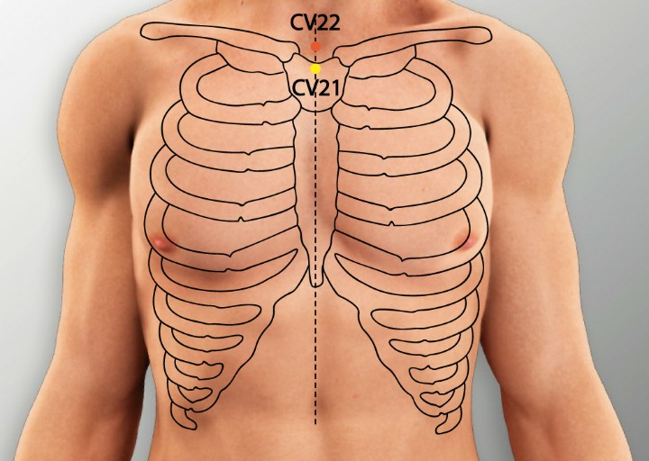 Thyroid Disease and Acupuncture Treatment in Tokyo 7 Thyroid Disease and Acupuncture Treatment in Tokyo