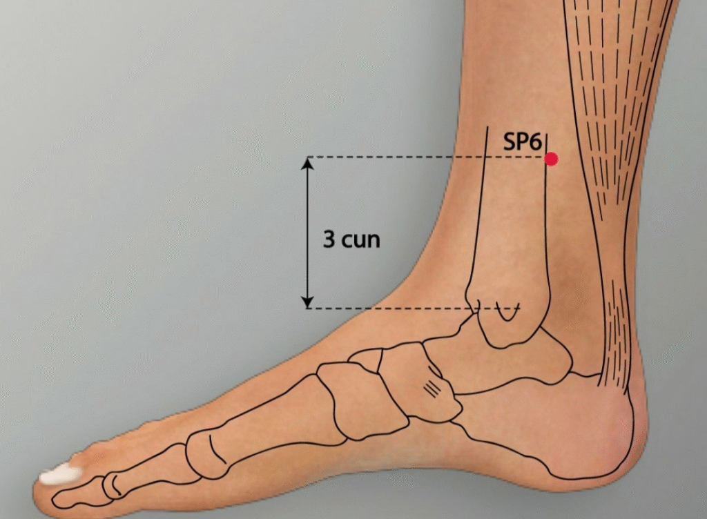 Thyroid Disease and Acupuncture Treatment in Tokyo 6 Thyroid Disease and Acupuncture Treatment in Tokyo